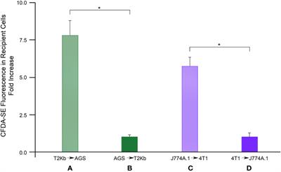 Targeting of tumor cells by custom antigen transfer: a novel approach for immunotherapy of cancer